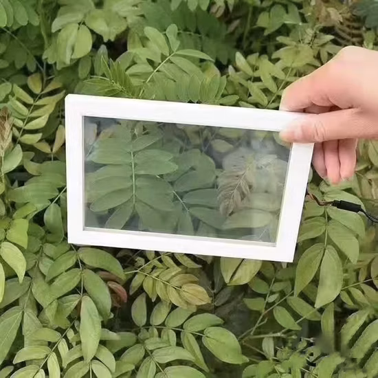 Electronic Control Pdlc Film Smart Switchable Glass for Privacy Protections